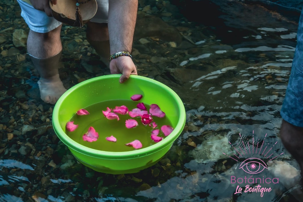 Limpia de fin de año