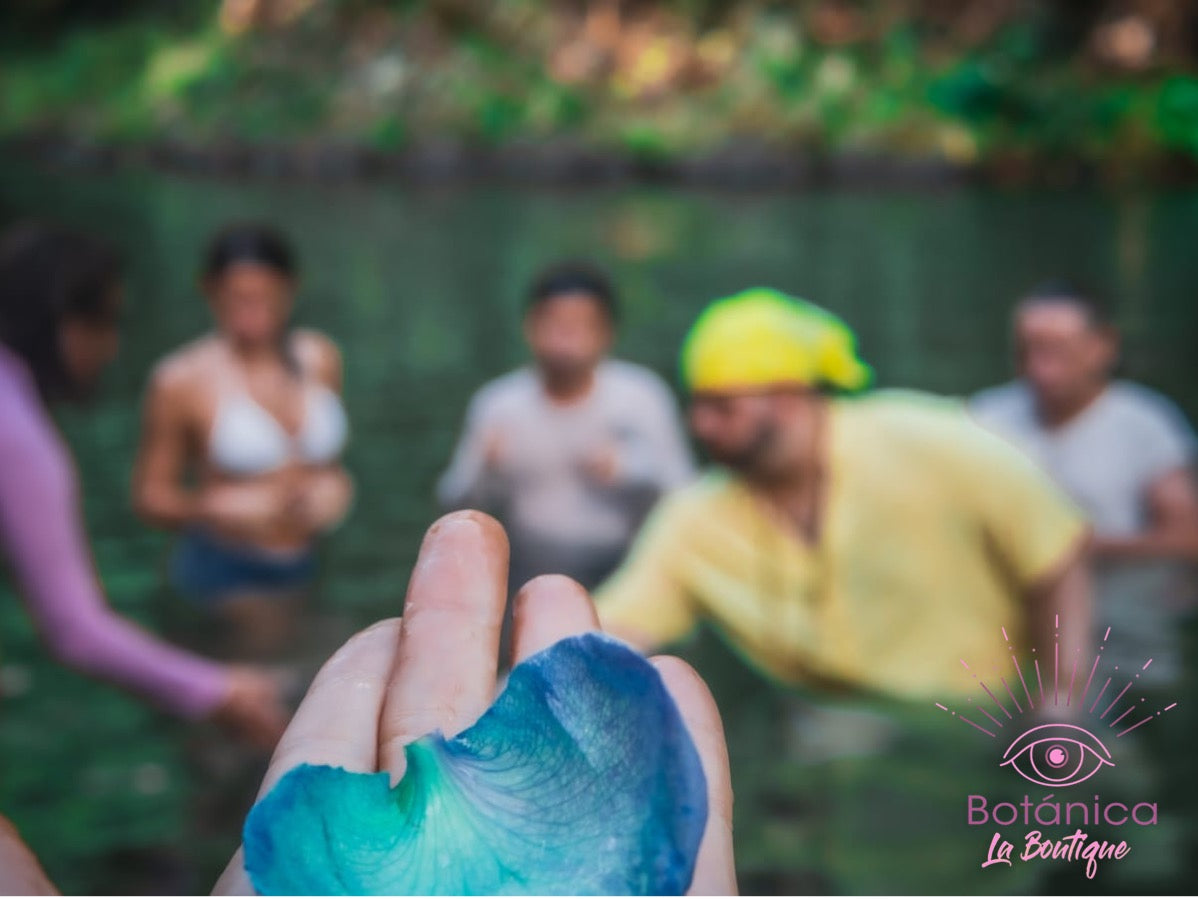 Limpia de fin de año