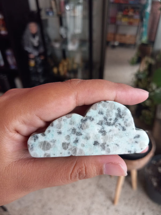 Kiwi Jasper Cloud