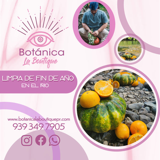 Limpia de fin de año