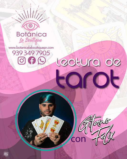 Lectura de Tarot (1 hora)